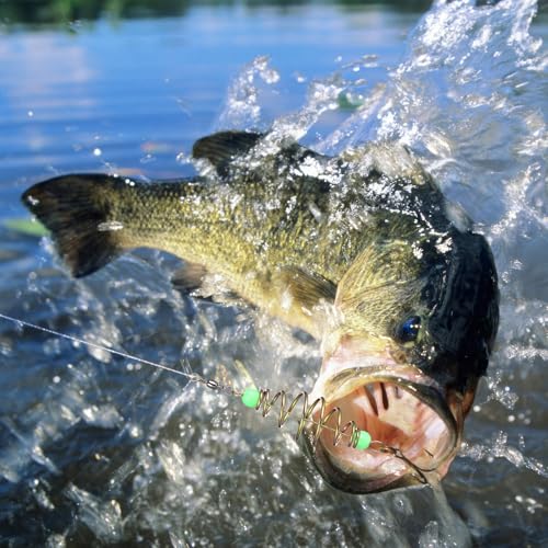 BESPORTBLE 24Pcs Fishing Bait Traps Cage Feeder Basket Holder: Carp Bait Cage Carbon Steel Spring Method Feeder Basket with Luminous Beads Carp Rig, Catfish Chicken Liver and Night Fishing Gear