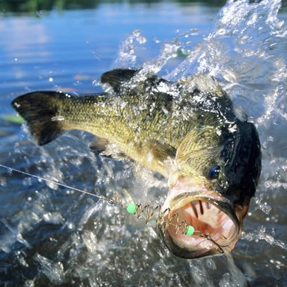 BESPORTBLE 24Pcs Fishing Bait Traps Cage Feeder Basket Holder: Carp Bait Cage Carbon Steel Spring Method Feeder Basket with Luminous Beads Carp Rig, Catfish Chicken Liver and Night Fishing Gear