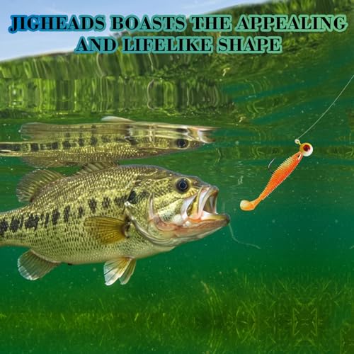 Fishing Jig Heads Assorted Size Round Painted Ball Head Hooks for Walleye Bass Trout Crappie Jig Heads Freshwater Saltwater,1/2oz 3/8oz 1/4oz 1/8oz 15-40pcs