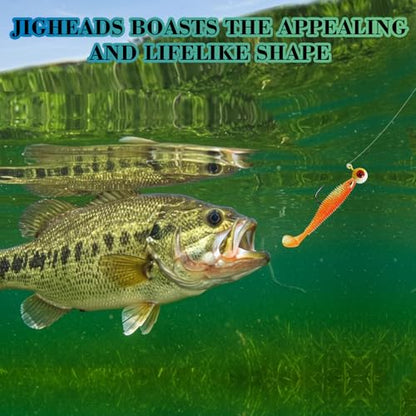 Fishing Jig Heads Assorted Size Round Painted Ball Head Hooks for Walleye Bass Trout Crappie Jig Heads Freshwater Saltwater,1/2oz 3/8oz 1/4oz 1/8oz 15-40pcs