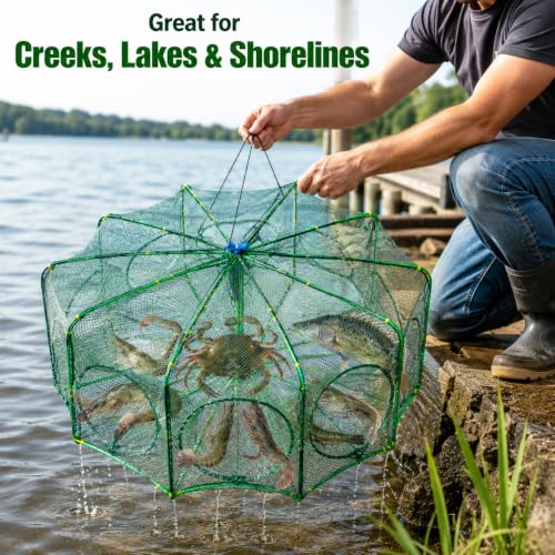 Fishing Bait Trap, 10-Hole 10-Sided Foldable Fishing Net Trap, Portable Nylon Mesh Collapsible Fish Trap with Storage Bag for Minnow Crab Shrimp Crawfish, Freshwater Saltwater