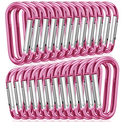 STURME 2" Aluminum D Ring Carabiners Clip D Shape Spring Loaded Gate Small Keychain Carabiner Clip Set Outdoor Camping Mini Lock Snap Hooks Spring Link Key Chain Durable Improved 24 PCS - color: Pink