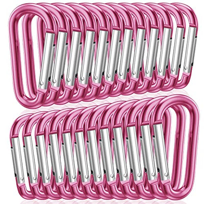 STURME 2" Aluminum D Ring Carabiners Clip D Shape Spring Loaded Gate Small Keychain Carabiner Clip Set Outdoor Camping Mini Lock Snap Hooks Spring Link Key Chain Durable Improved 24 PCS - color: Pink