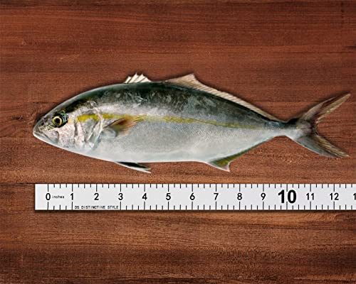 DS. DISTINCTIVE STYLE Fish Ruler Sticker 40-Inch Waterproof Adhesive Ruler Tape Fish Measuring Tape for Kayak, Boat, and Workbench