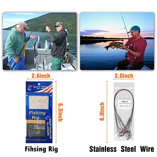 Saltwater Fishing Tackle Kit, Surf Fishing Gear Set Includes Saltwater Lures, Bait Rigs, Swivel, Hooks, Sinkers Weights, Wire Leaders Various Accessories
