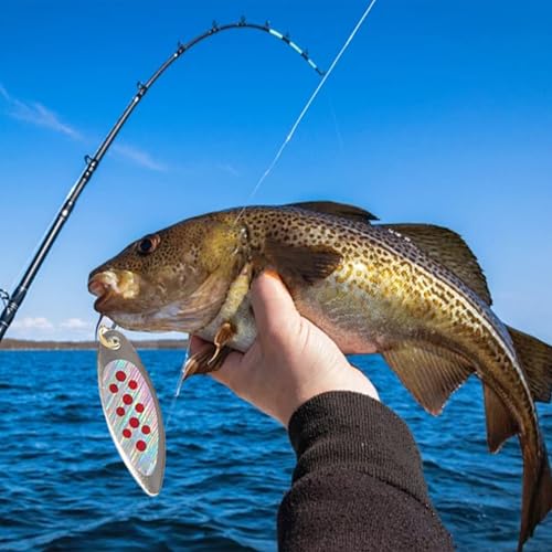 Trout Spinners, Rooster Tail Fishing Lures, Fly Trout Fishing Gear for Lake River Fishing with Storage Box for Bass Salmon, Smallmouth Bass Lures - color: 10 pcs 1/8 oz-1/4 oz