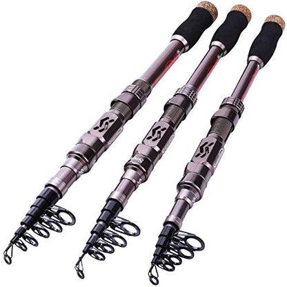 Sougayilang Fishing Rod and Reel Set Carbon Fiber Telescopic Fishing Rod 12+1BB Spinning Reel with Carry Case for Saltwater Freshwater - color: silver, size: 6.89 ft - 3000