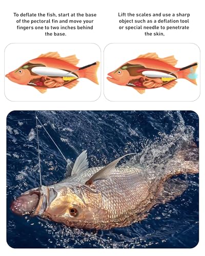 GOLDEN J Fish Venting Tool for Saltwater Fishing | Modular Design with Hidden Storage & Stainless Steel/Aluminum Build, Relieves Deep Sea Fish Pressure for Healthier Release - size: L+M
