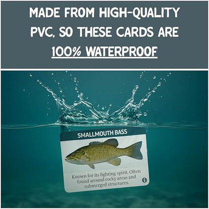 Freshwater Fishing ID Cards: Waterproof, 52-Identification Card Set for Anglers - Learn Fish Species, Techniques, & Tips. The Ultimate in Fishing Accessories, fits in Any Tackle Box.