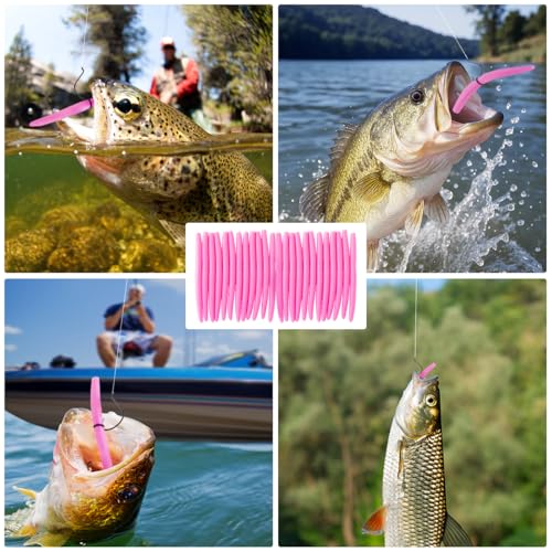 Senko Bait Soft Plastic Lures 5" Senkos 24 Pcs/100pcs for Wacky Rig Freshwater Fishing Green Pumpkin senko with Black Flake Pink Watermelon Double Color - style: Bubblegum Pink