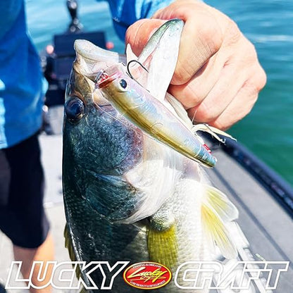 LUCKY CRAFT Gunfish 115NF Top Water Bass Fishing Lures, 4.5” Floating Lure with Cupped Mouth, Freshwater Trout and Bass Lures Fishing Gear, Accessories for Tackle Box - color: 389F Numa Crown