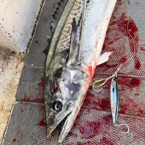 Ice Fishing Lures, Metal Jig Lures, Hard Baits for Bass, Saltwater Jigging Lures, Slow Pitch Jig Catch More Fish, Durable and Well-Made Bass Trout Tuna Lures with VMC Hooks (AH9563)