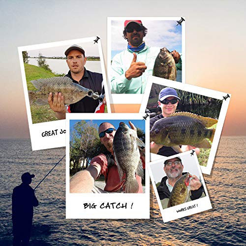 TRUSCEND Swimmax Easy Catch Fishing Lures with BKK Hooks, Wiggling, Vibrating, Rattling and Gurgling for More Bite, Heavy-Duty Dyneema Fiber Jointed Swimbaits for Bass, Trout, Walleye, Crappie, Pike - color: B2-3.9",0.49oz