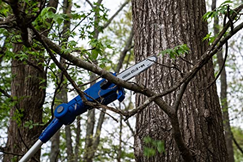 WILD BADGER POWER Cordless Pole Saw 20V 8'' Electric 2.0Ah with Telescoping Pole, 0° to 30° Adjustable Head, Battery and Charger included - style: 20V