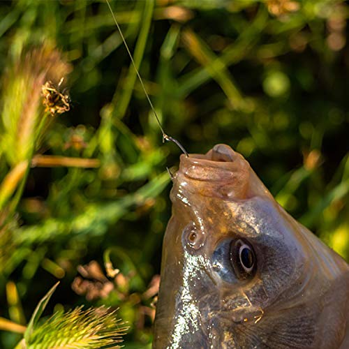 Carp Fishing Hooks- 120pcs Barb Curved Shank Carp Hooks Circle Fish Hooks Freshwater Saltwater for Hair Rigs Carp Fishing Tackle - size: 4# 120pcs