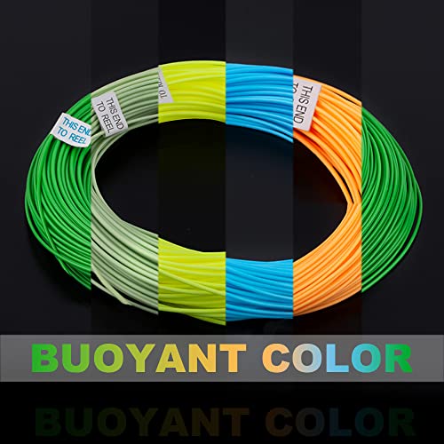 HERCULES Fly Fishing Line Floating Weight Forward Fly Line with Double Welded Loop - color: Grass Green, size: WF5F 100FT
