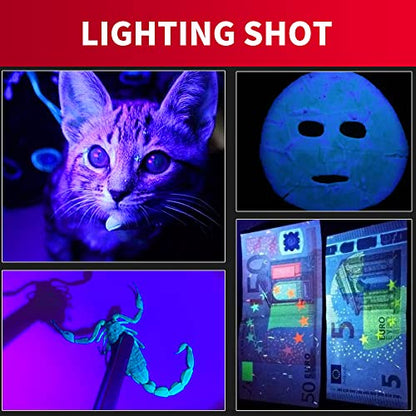 GREATFISHING Fly Tying UV Clear Glue and Power Light Combo Three Bottles Thick Thin and Soft +12 LED Light for Building Flies Heads Bodies Wings and Gluing Eyes - color: 3PC Glue with 3W 395 light