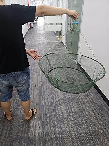 EatingBiting Portable Prawn Bait Crab Shrimp Net Drop Landing Fishing Pier Harbour Pond 31.5" Folding Fishes Net Perfect for Keeping Fishes Minnows Crab Lobsters (can not Hold a Large Fish)