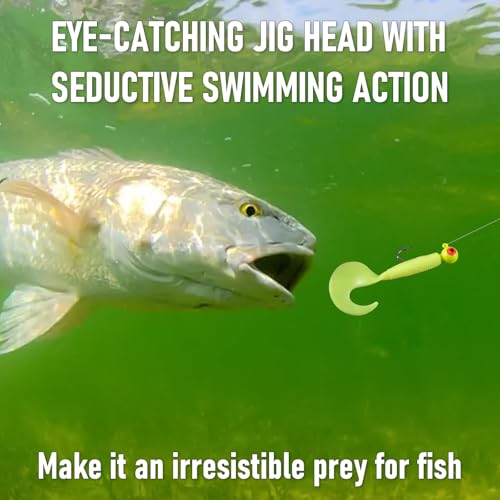 Alwonder 30-Pack Fishing Jig Heads Kit, Round Ball Crappie Jig Head with 3D Eyes, 1/32-3/8oz Jigs Heads for Bass Fishing Trout Crappie Perch Bluegill Walleye, Live Soft Baits Lures Jigs Hooks - size: 1/32OZ