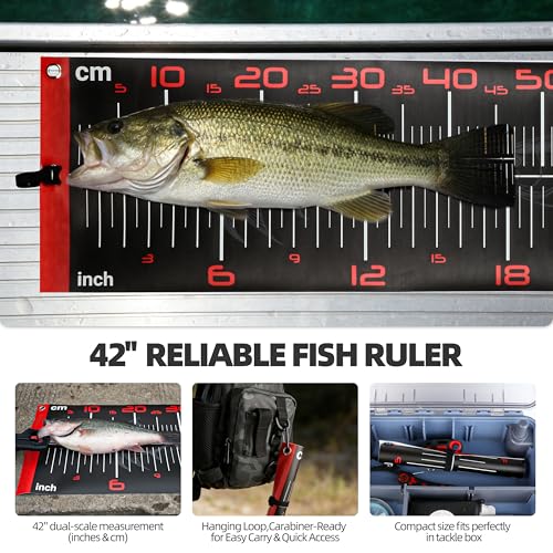 Fishing Tool Kit with Fish Gripper, Portable Fish Scale, Stainless Steel Soap & Measuring Ruler – Saltwater Resistant Tackle Accessories for Freshwater and Saltwater Anglers (Black) - color: Black, 3-in-1 Kit