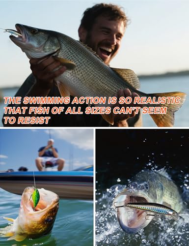 Fishing Lures,380Pcs Tackle Box with Tackle Included | Fishing Gear with Frogs,Soft Baits, Hooks & Other Accessories,Fishing Bait Kit for Bass Trout