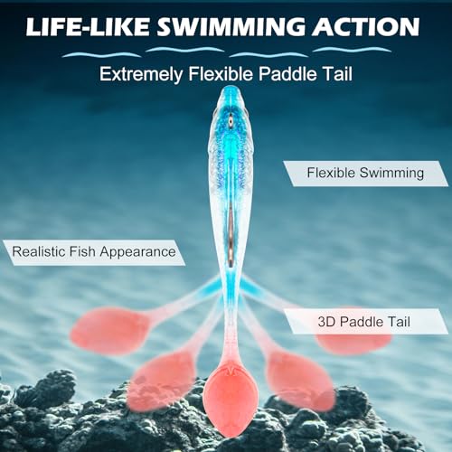 Syosisny 6-Piece Soft Fishing Lure Set, Realistic Bionic Swimbait for Bass, Trout, Saltwater & Freshwater Fishing Lures, Durable Fishing Gear Accessories - size: 3.15