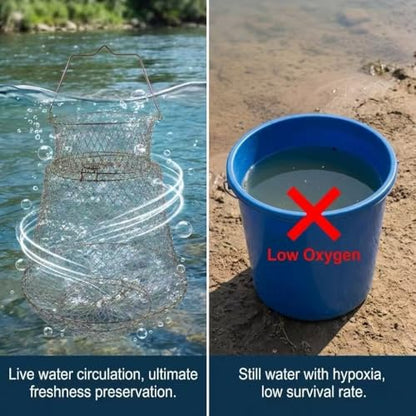 2pcs Metal Rustproof Collapsible Fish Basket - Robust and Easy to Use Net Cage for Live Fish