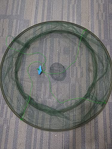 EatingBiting Portable Prawn Bait Crab Shrimp Net Drop Landing Fishing Pier Harbour Pond 31.5" Folding Fishes Net Perfect for Keeping Fishes Minnows Crab Lobsters (can not Hold a Large Fish)
