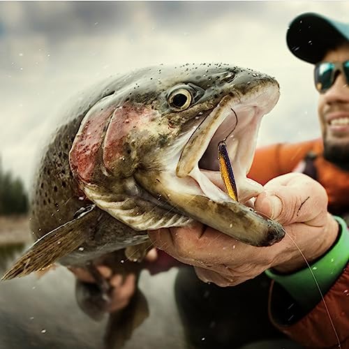 Paddle Tail Swimbaits,Soft Plastic Fishing Lures Swim Baits for Bass Fishing,30/50pcs with Box,Soft Plastic Swimbaits for Bass Trout Crappie Lures Kit for Saltwater Freshwater - color: B:2.75in/0.077oz-50pcs