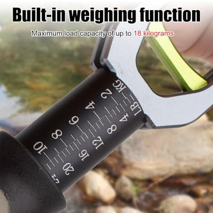 Fish Lip Gripper, Aluminium Alloy Fishing Grabber Non-Slip Fish Lip Grip Tool with Weight Scale & Anti-Lost Rope for Outdoor Fishing - color: Gray