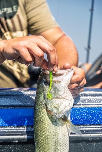 Strike King Rage Slim Swimmer Fishing Lure, Soft Plastic Swimbait, 4-Inches, 8-Pack - color: Guacamole
