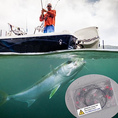 Carolina Rig Saltwater Flounder Fishing Rigs, Stainless Steel Wire Leader with Egg Sinker Weights, Swivel Snaps Ready Rig for Catfish Grouper Drum Redfish Bottom Surf Fishing - size: 2oz-6pcs