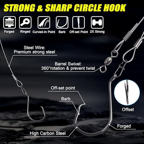 SILANON Pre-Rigged Carolina rig Saltwater Grouper Rig Egg Sinker Flounder Rigs with 10 Circle Hooks Steel Wire Leader for Catfish Snapper Flounder Halibut Redfish Surf Fishing Bottom Rig - size: Egg sinker Rig(6pcs)+Circle hooks(20pcs)
