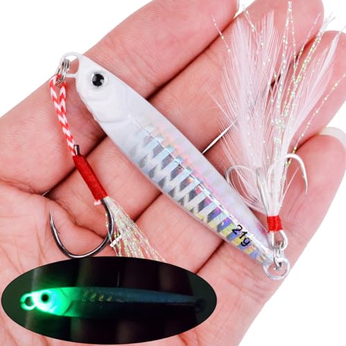 Saltwater Fishing jigs Speed Jigging Slow Jigging Pitching Lures Artificial Lures - size: 10pcs 40G