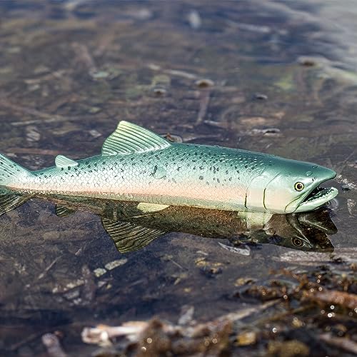 Safari Ltd. Salmon Fish Figurine - Detailed 7" Plastic Model Figure - Fun Educational Play Toy for Boys, Girls & Kids Ages 3+
