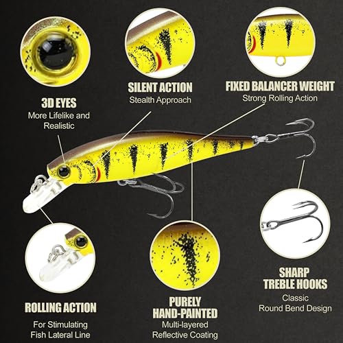 LUCKY CRAFT Pointer 78SP Fishing Lures, 3” Jerkbait Freshwater Bass & Trout Lures, Suspending 4ft–5ft Depth, Jerkbait with Walk-the-Dog Action, Precision Bass Fishing Gear and Accessories - color: 806 Tiger Perch, size: PT65