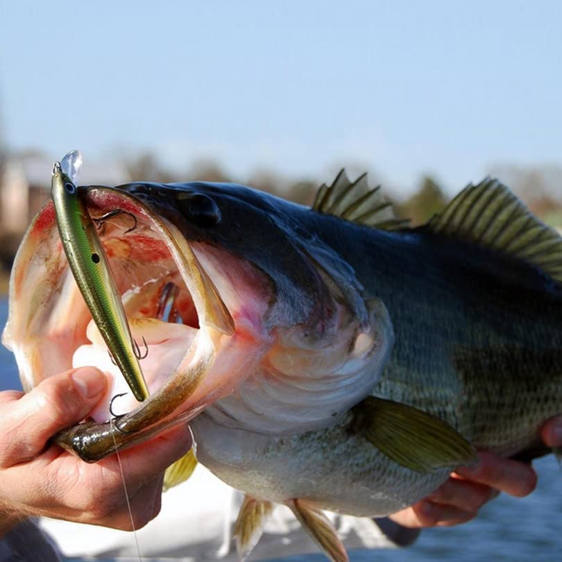 10pcs Minnow Fishing Lures Crankbaits, Fishing Lures Hard Baits Swimbaits, Minnow Topwater Baits