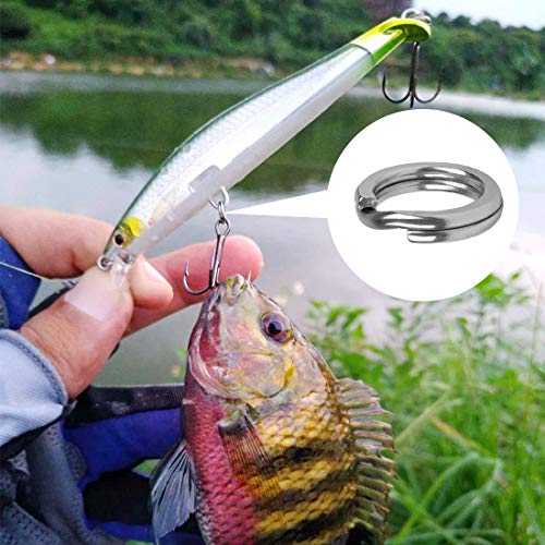 201 Pcs Stainless Steel Fishing Split Rings 5 Sizes Double High Strength Lure Tackle Connector kit with Fishing Pliers Fish Hook Remover Fishing Tackle for Freshwater and Saltwater