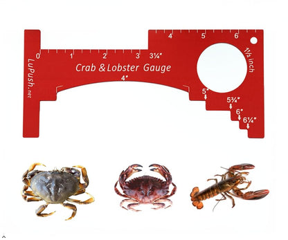 Crab Gauge & Lobster Ruler – 3mm Thick Aluminum Measuring Tool, Heavy-Duty Crab Ruler for Dungeness, Red Rock, Blue Crab & Lobster – Applicable for WA, OR, CA & Atlantic/Gulf States - color: Red