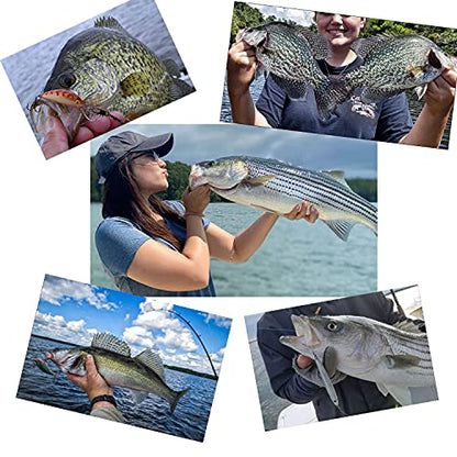 Carolina Rigs for Fishing- 12 Inch Steel Fishing Leaders with Fishing Weight, Pre Rigged Carolina Rigs with Fishing Weight 1/6oz, 1/4oz, 1/2oz, 10 Pcs - size: 1/6 oz; 12 Inch