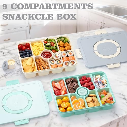 Snackle Box Container, Divided Serving Tray with Lid and Handle, 9 Compartments Snack Box Container for Adults, Portable Charcuterie Serving Platter for Candy Fruit, 9.9 Cups, White Grey - color: White Grey
