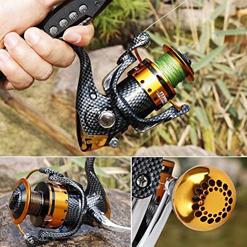 Burning Shark Fishing Reels- 12+1 BB, Light and Smooth Spinning Reels, Powerful Carbon Fiber Drag, Saltwater and Freshwater Fishing - size: TT4000