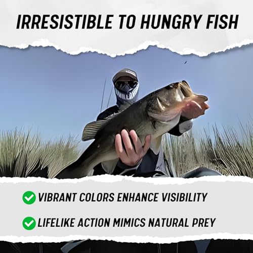 LUNKERHUNT Deep Diving Crankbaits – 4-Pack | Premium Hard Bait Fishing Lures for Bass, Walleye & Saltwater | Ideal for Deep Water Action - color: 4-Pack Top Water