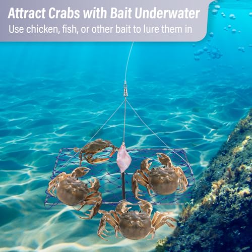 Dr.Fish Foldable Crab Trap with Gauge and Bait Clip, Castable Crab Crawfish Trap Snare Crabbing Net for Crayfish Lobster Minnow - color: 2 Crab Traps with Gauge