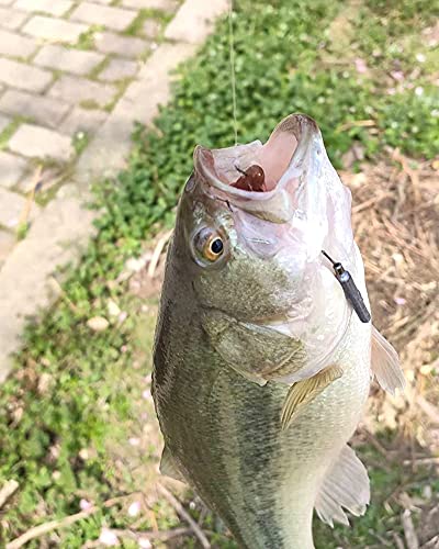 Soft Plastic Crawfish Bait Fishing Lure for Crappie, Bass, Bluegill, White Perch, Sunfish, Speckled Trout All Panfish Softlure Artificial Crayfish Lures Bait Drop Shot Rig Lure Slow Sinking - color: 5cm/1.8g - 50pcs
