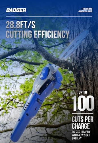 WILD BADGER POWER Pole Saw Cordless 40V 8'' Electric 2.0Ah with Detachable Pole, 2Ah Battery and Charger included - style: 40V