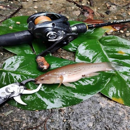 GOMEXUS Fish Lip Gripper, Portable Lightweight Fish Gripper, Aluminium Fish Grabber Tool, Lip Grippers Fishing, Mini Fishing Gripper with Lanyard - color: Sliver