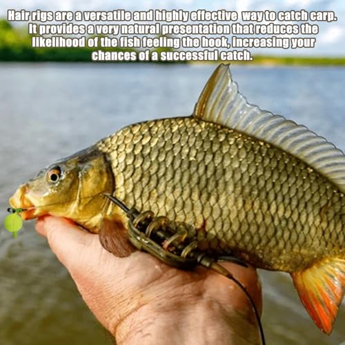 Carp Fishing Hair Rigs Carp Fishing Gear with Braided Thread Line, Carp Fishing Hooks Size 2/4/6/8, Swivel Snaps and Artificial Carp Boilie Eggs - size: Hair Rigs Fishing Size 2 -10pcs