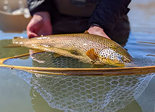 Premium Long Handle Hardwood Fishing Landing Net for Boats, Canoes, Rafts, 40" Overall