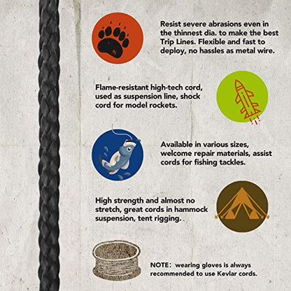 emma kites 100% Black Kevlar Braided Cord (0.4~4.6mm Dia, 50lb~1700lb) High Strength, Abrasion Flame Resistant, Tough Survival Tactical Cord Model Rocket Paracord Snare Line Fishing Assist Cord - size: 300Lbs | 100Ft
